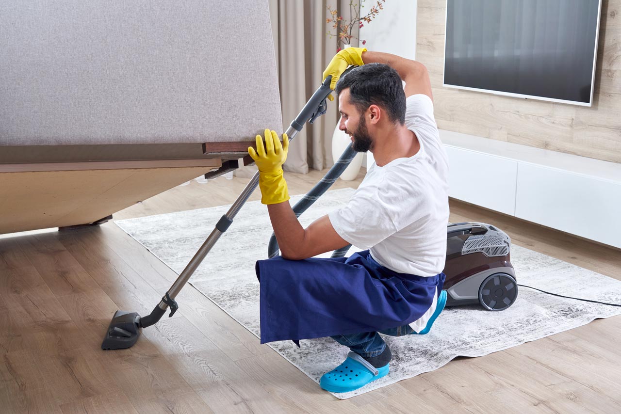 Domestic Cleaning
